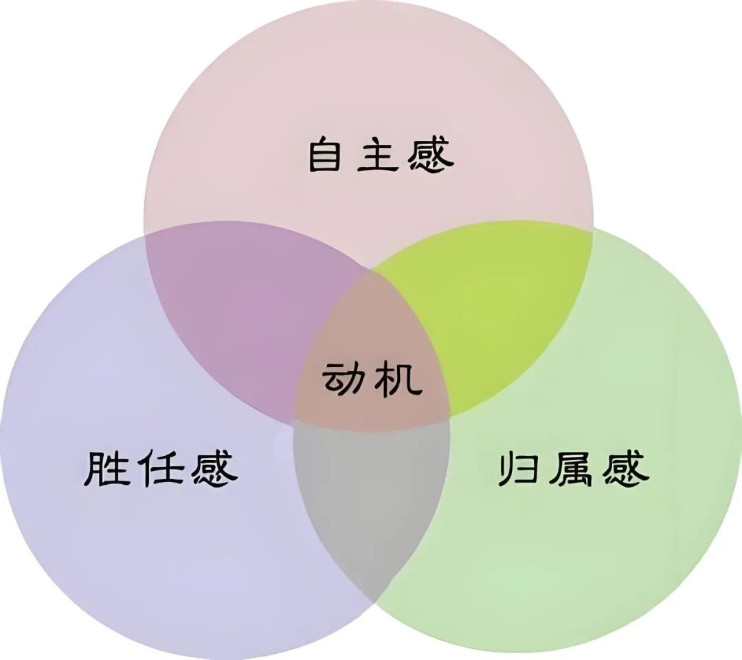 如何从易疲劳体质，变成一个精力充沛的人？